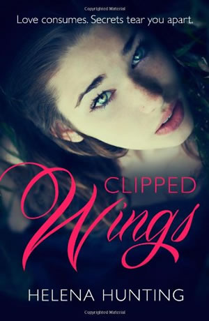 Clipped wings